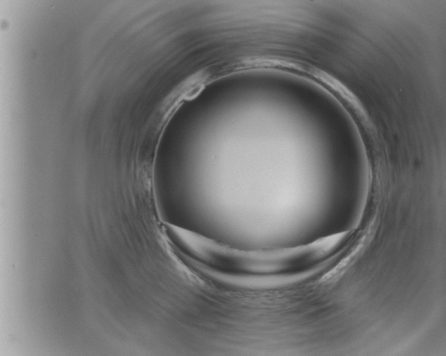 X0000063510809200601271809