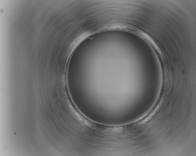 X0000063510810200601271809