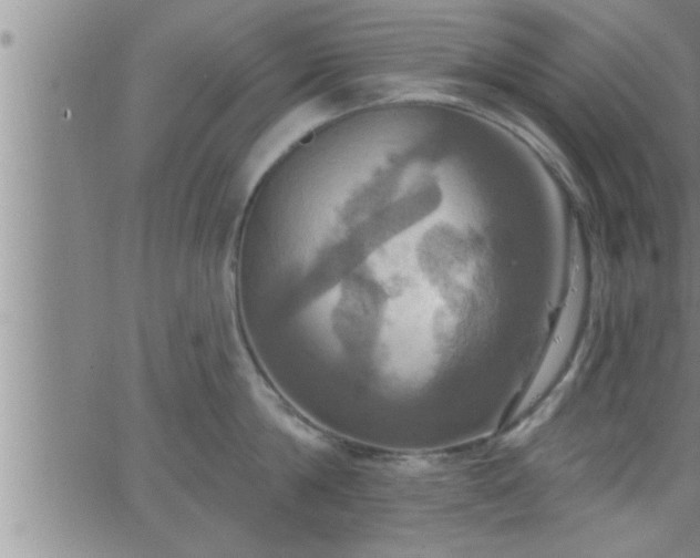 X0000063510814200601271809