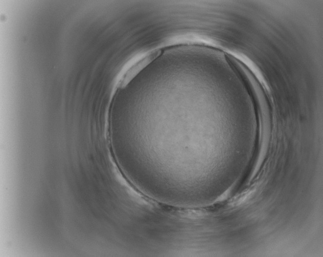 X0000063510815200601271809