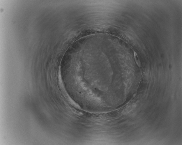 X0000063510817200601271808