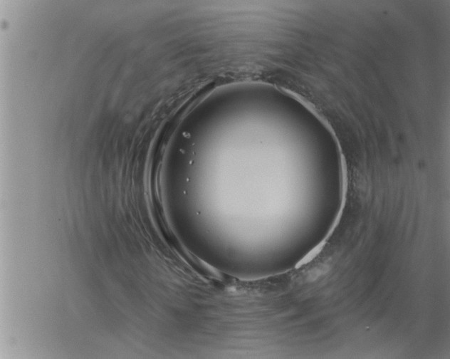 X0000063510818200601271808