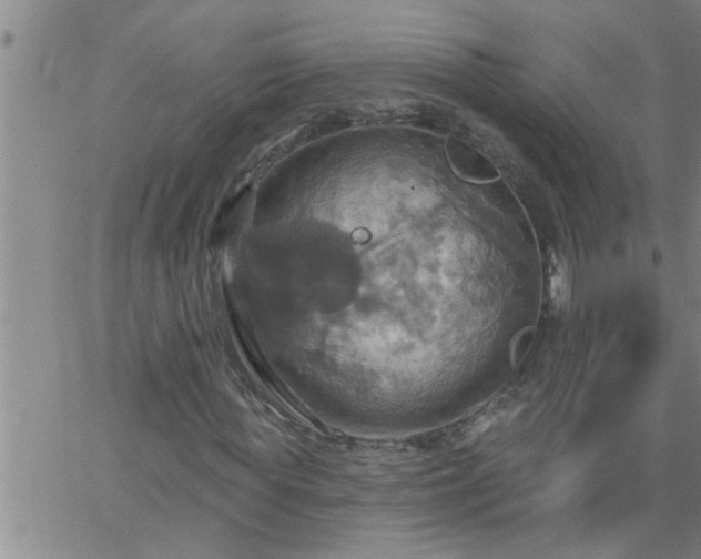 X0000063510819200601271808