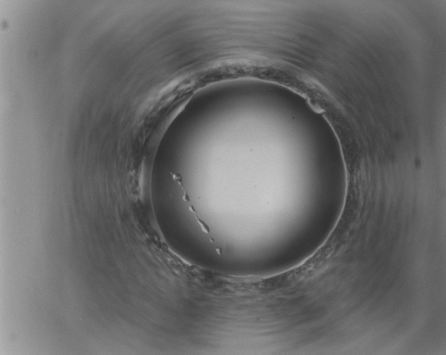 X0000063510822200601271808