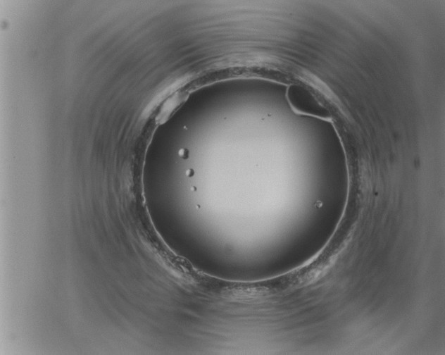 X0000063510826200601271808