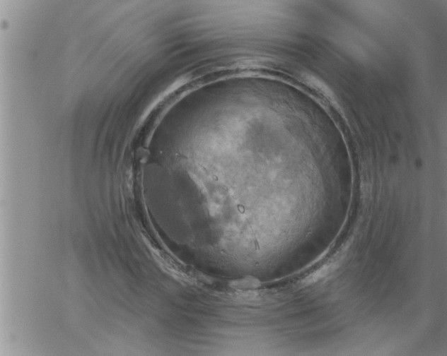 X0000063510827200601271808