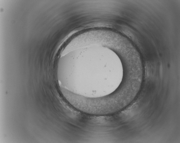 X0000063510828200601271808