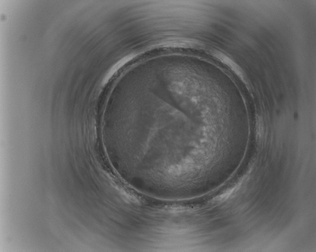 X0000063510829200601271808