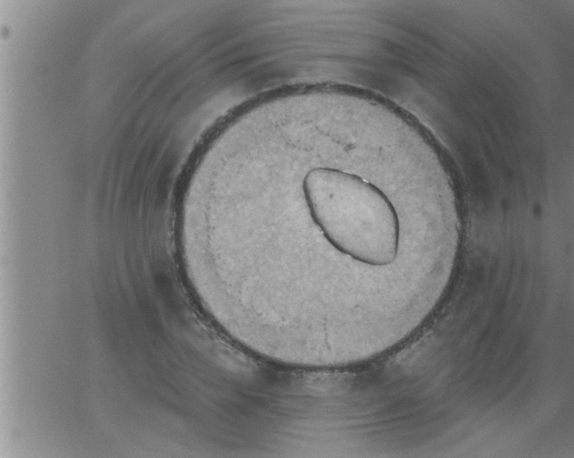 X0000063510832200601271808