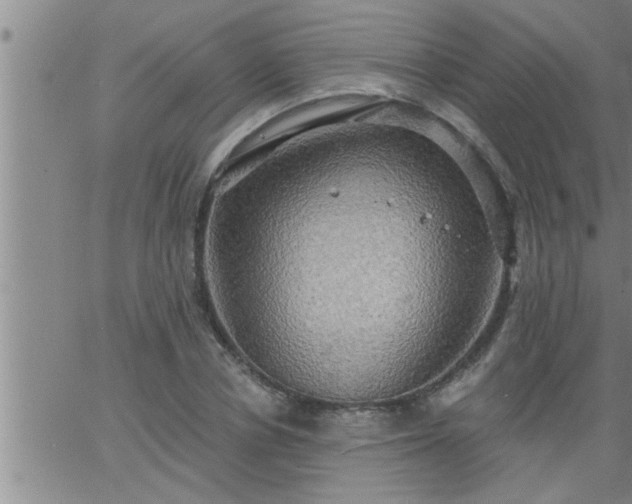 X0000063510834200601271808