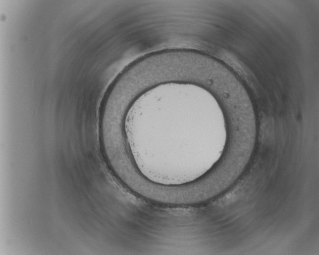 X0000063510836200601271808