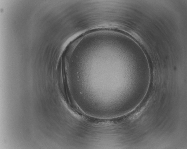 X0000063510838200601271808