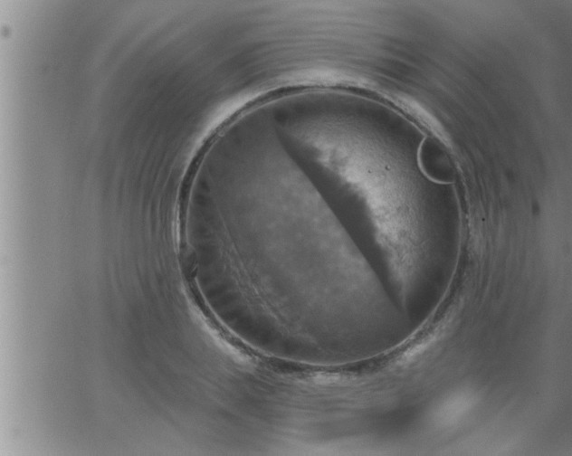 X0000063510839200601271808