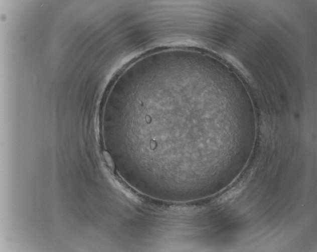 X0000063510840200601271808