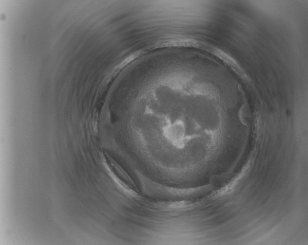 X0000063510841200601271808