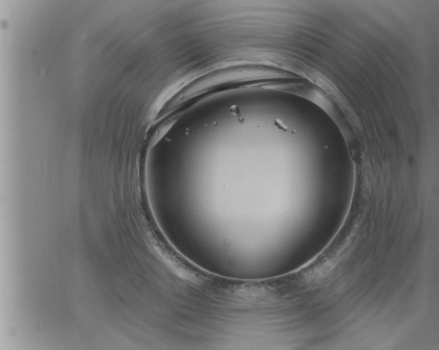 X0000063510842200601271808