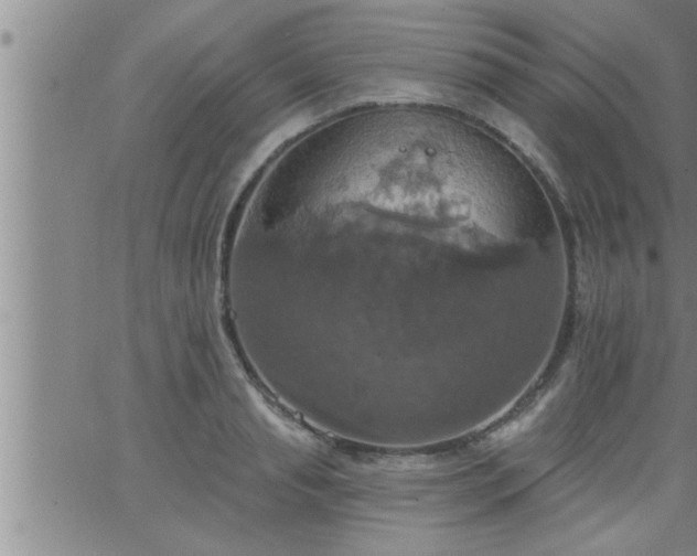 X0000063510845200601271809