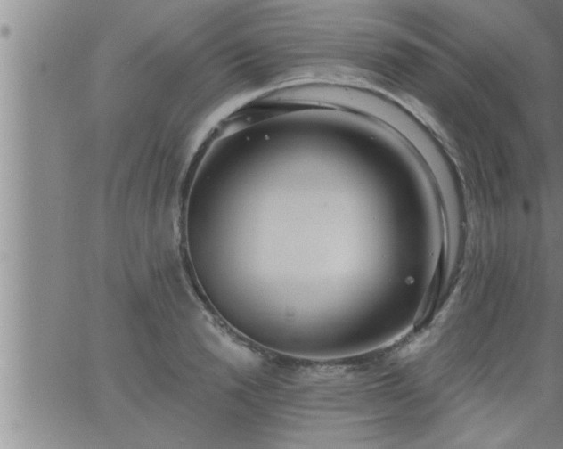 X0000063510846200601271809