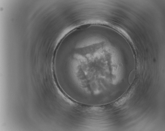 X0000063510847200601271809