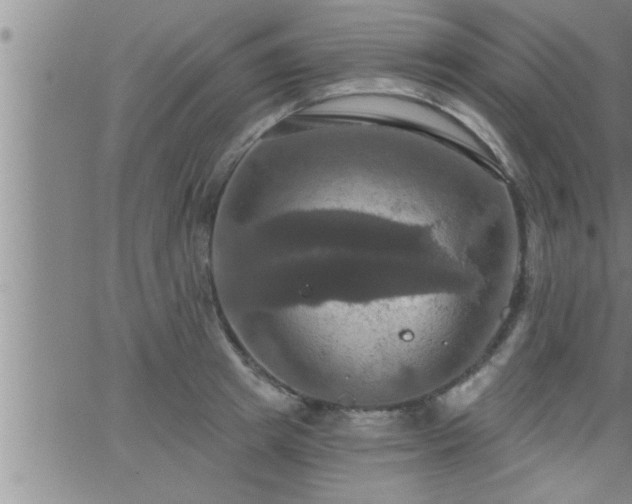 X0000063510849200601271809