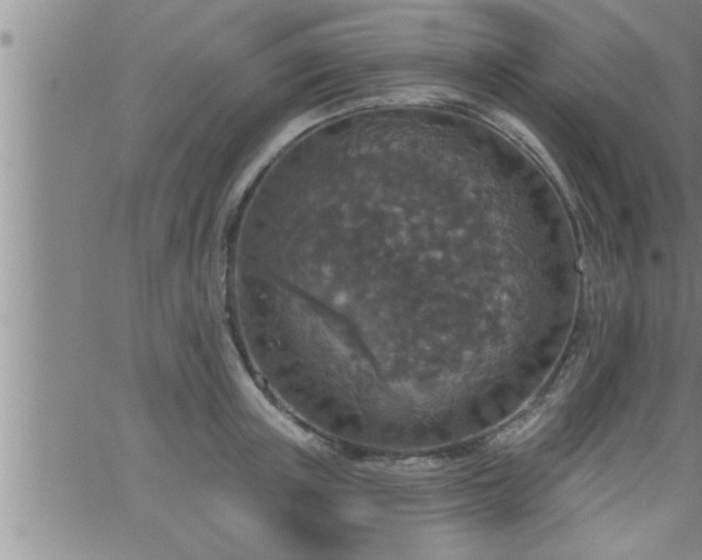 X0000063510851200601271809