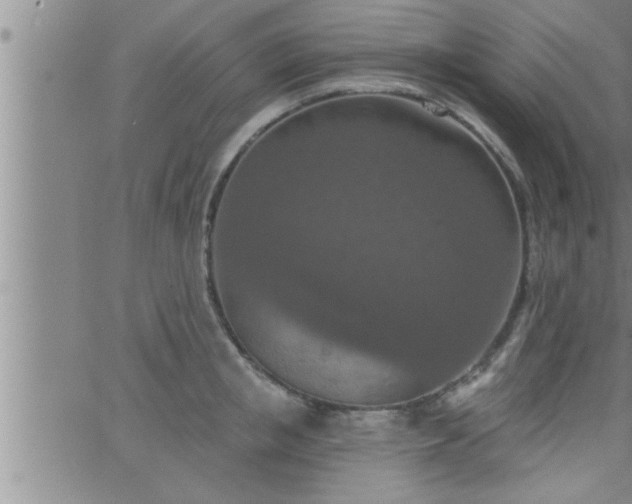 X0000063510853200601271809