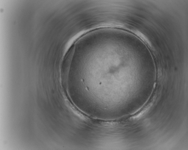 X0000063510854200601271809