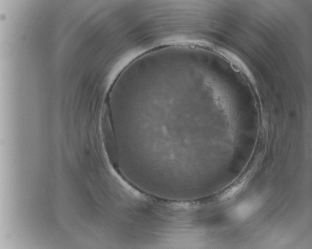 X0000063510855200601271809