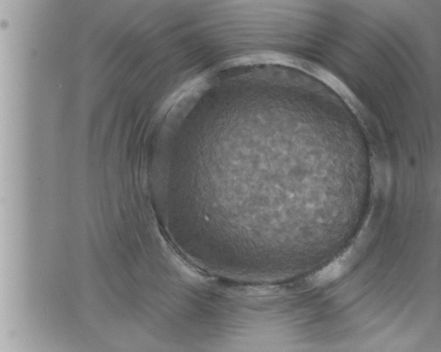 X0000063510857200601271809