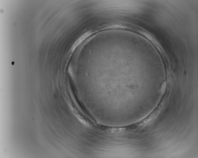 X0000063510858200601271809