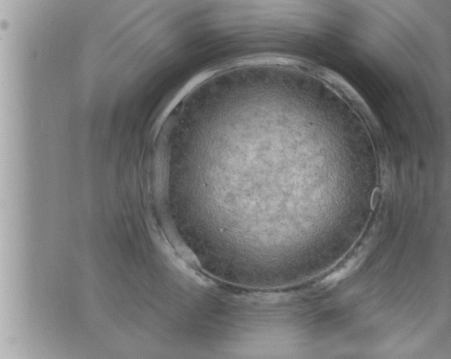 X0000063510860200601271809