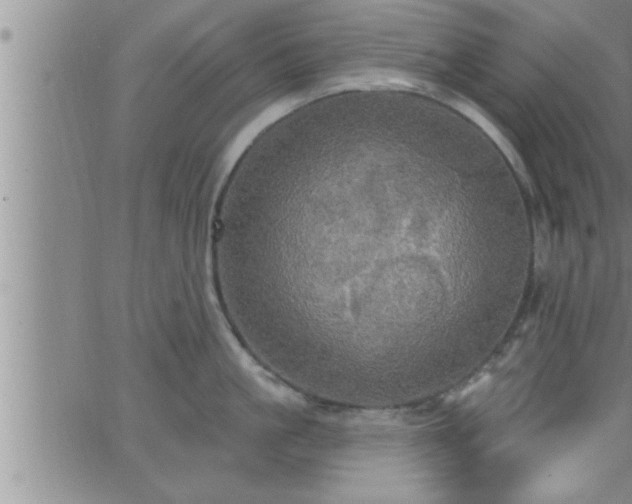 X0000063510861200601271809