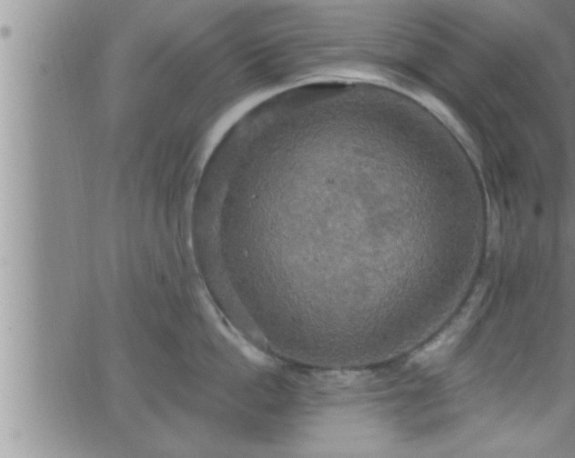 X0000063510862200601271809