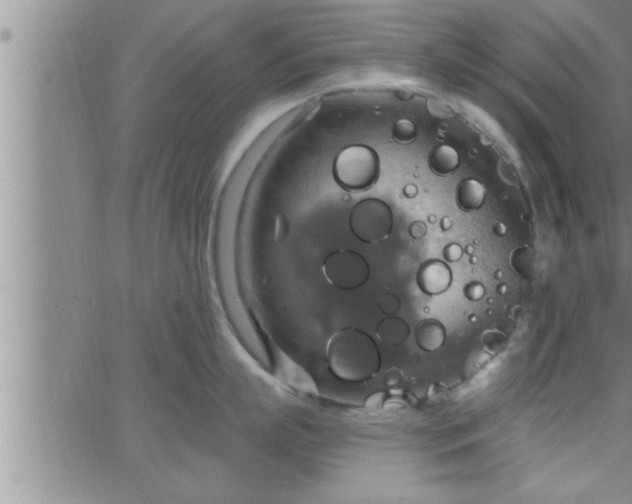 X0000063510863200601271809