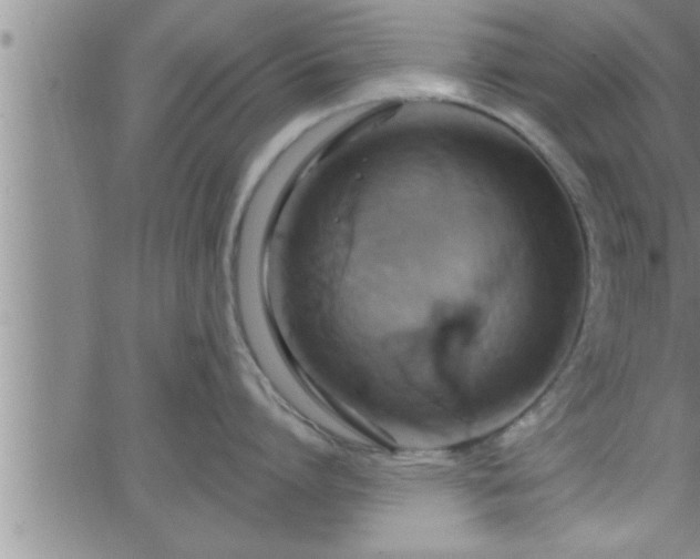 X0000063510864200601271809