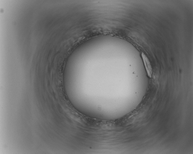 X0000063510865200601271808