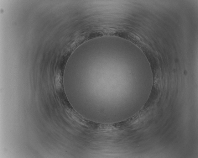 X0000063510866200601271808