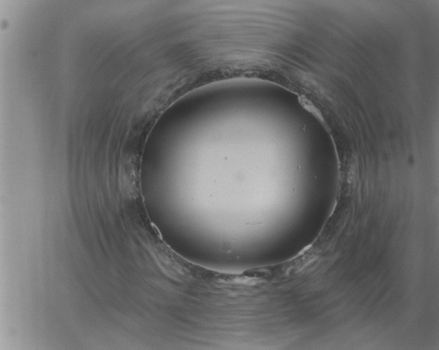 X0000063510868200601271808