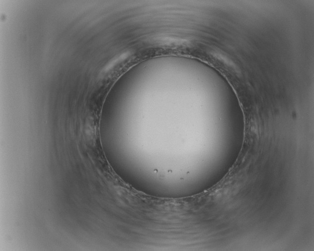 X0000063510869200601271808