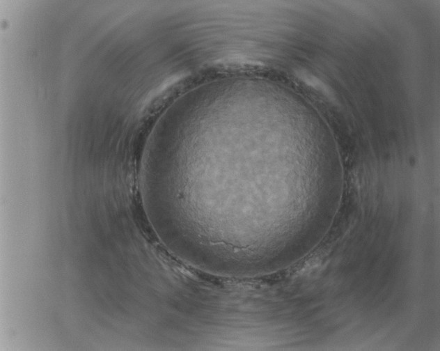 X0000063510870200601271808