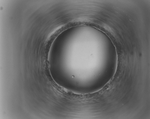 X0000063510872200601271808