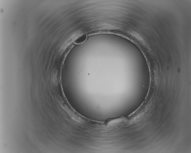 X0000063510873200601271808