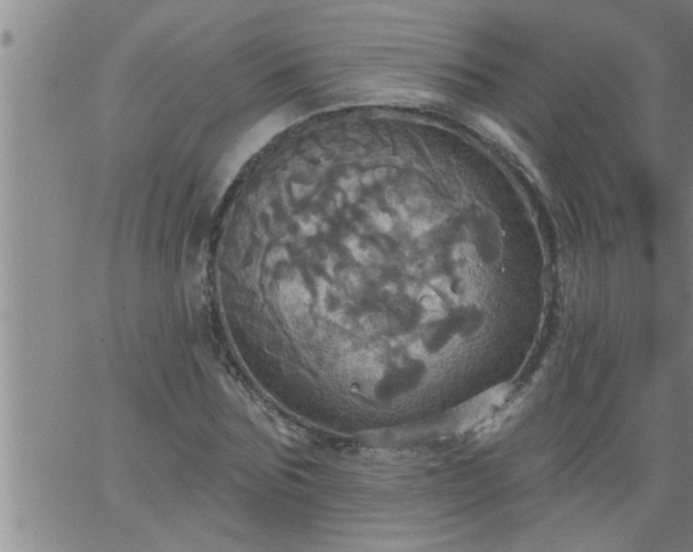 X0000063510875200601271808