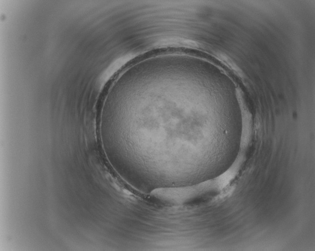 X0000063510877200601271808