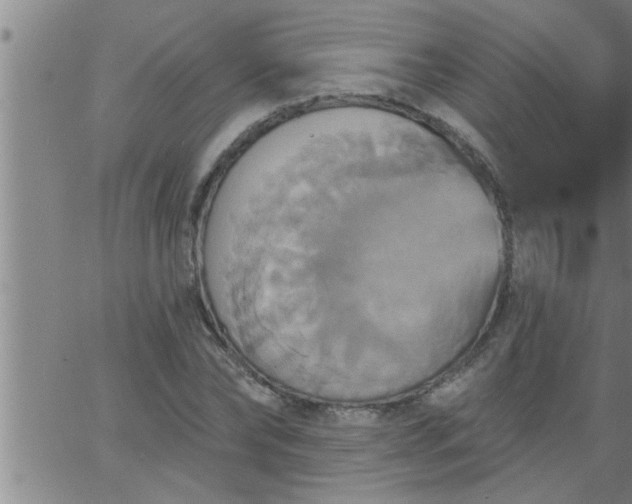 X0000063510878200601271808