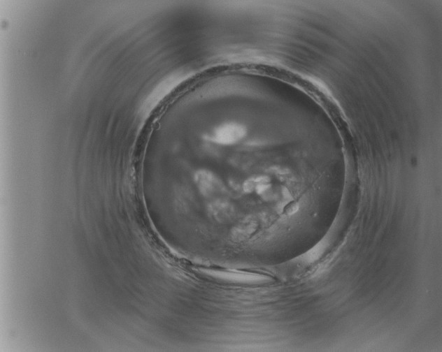 X0000063510879200601271808