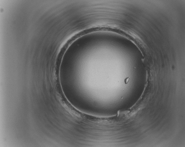 X0000063510880200601271808