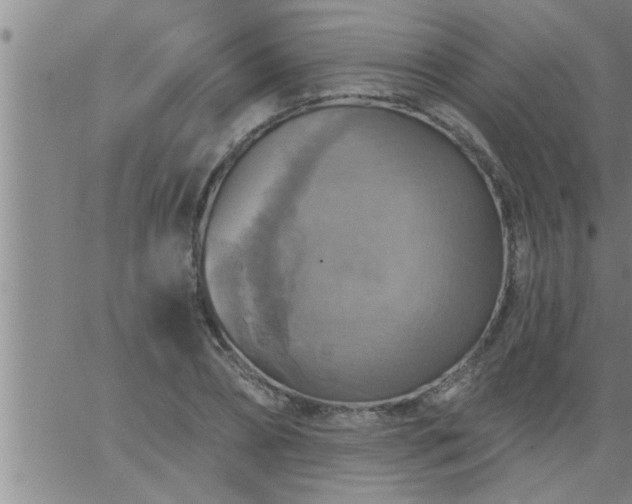 X0000063510882200601271808