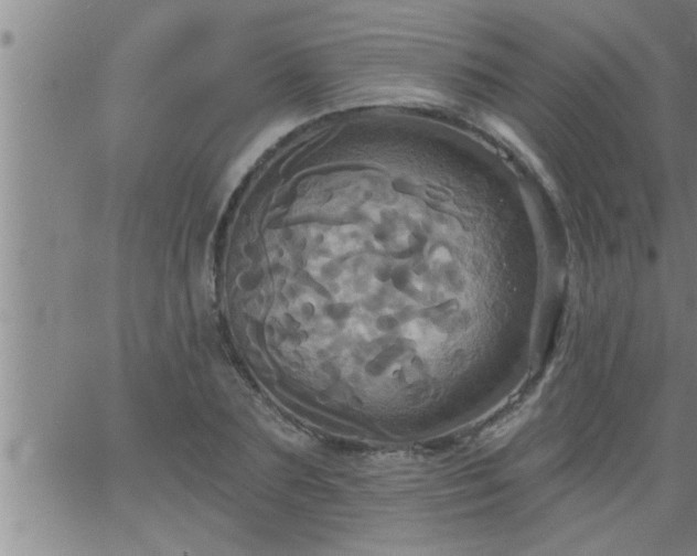 X0000063510883200601271808