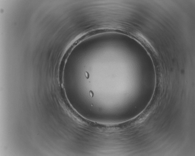 X0000063510884200601271808